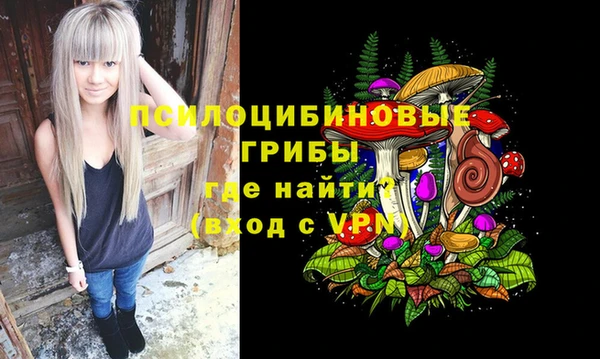 мдпв Балахна