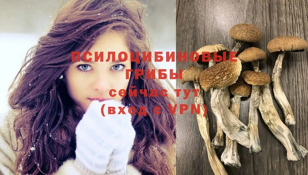 мдпв Балахна